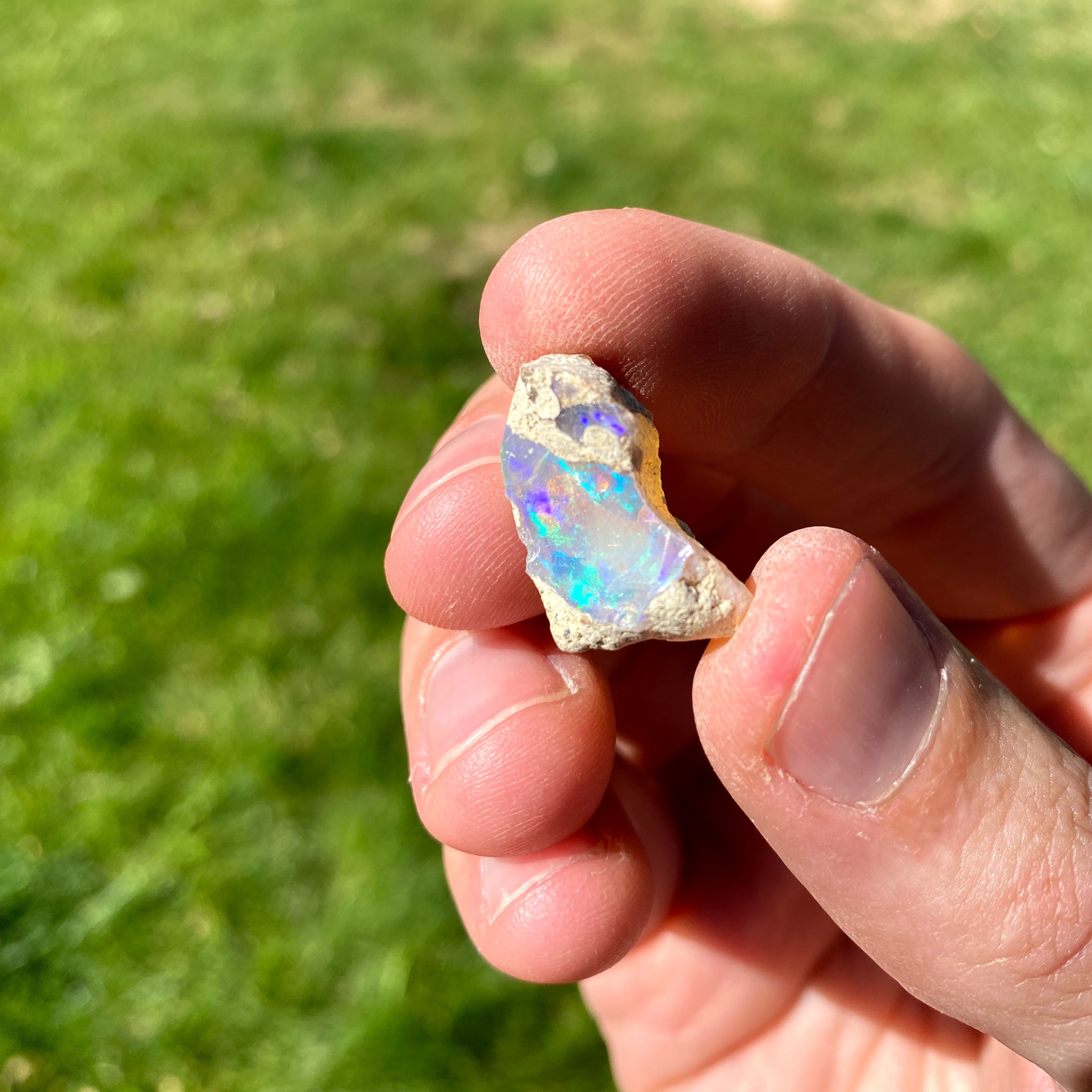 Sofia Andreou'S Epic Opal Journey: From Novice To Legend - c70dj16