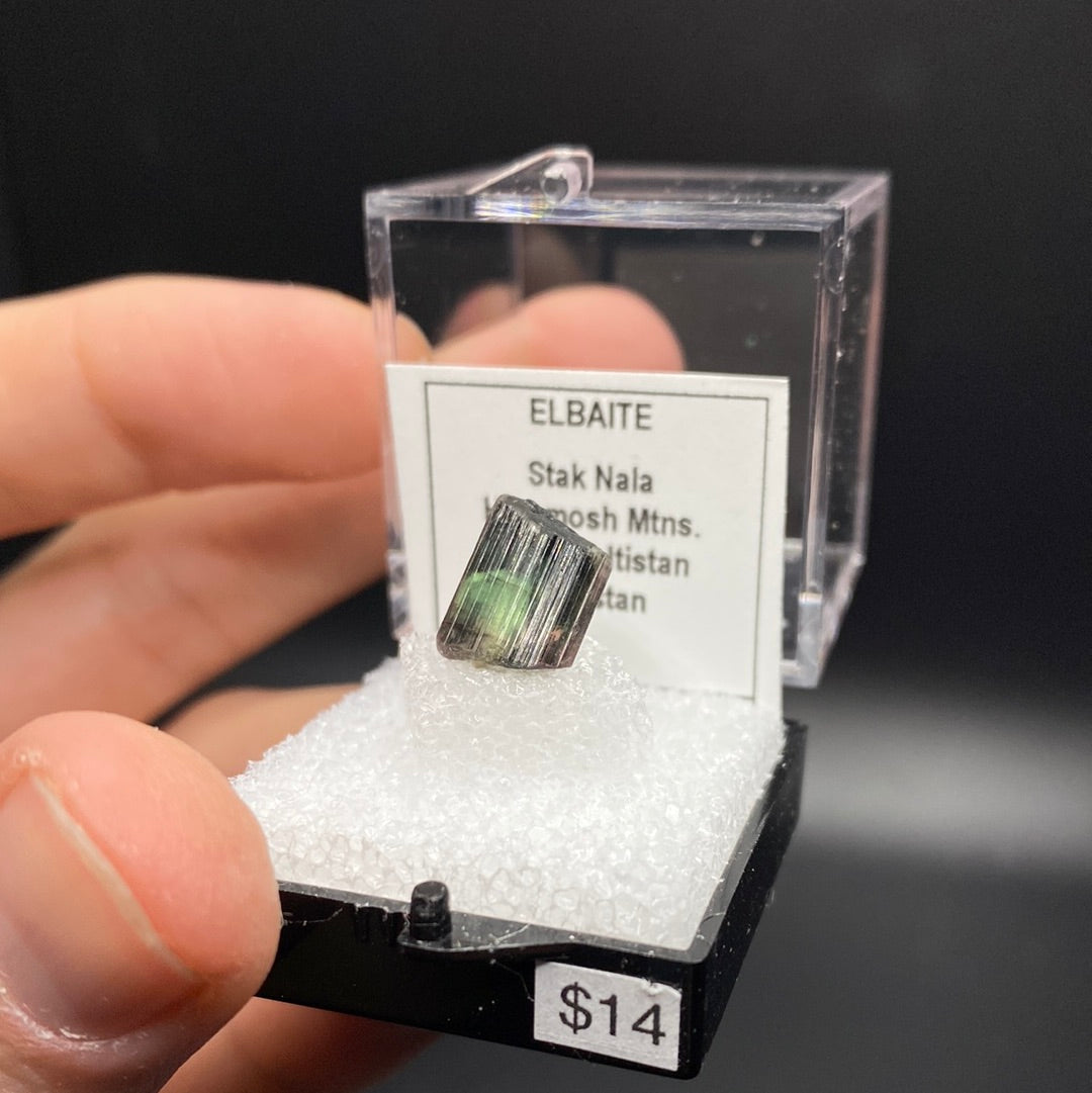 Elbaite Tourmaline Thumbnail Specimen - Pakistan
