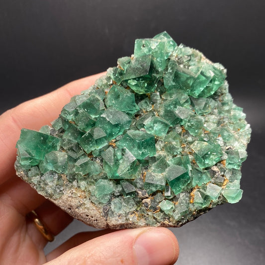 Fluorite - Hidden Forest Pocket - United Kingdom