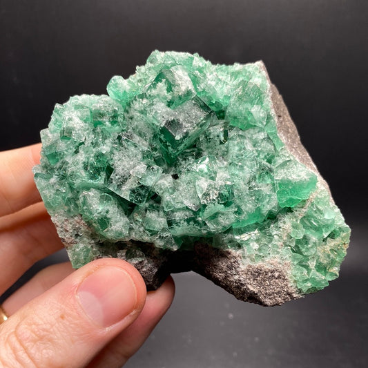 Fluorite - Hidden Forest Pocket - United Kingdom
