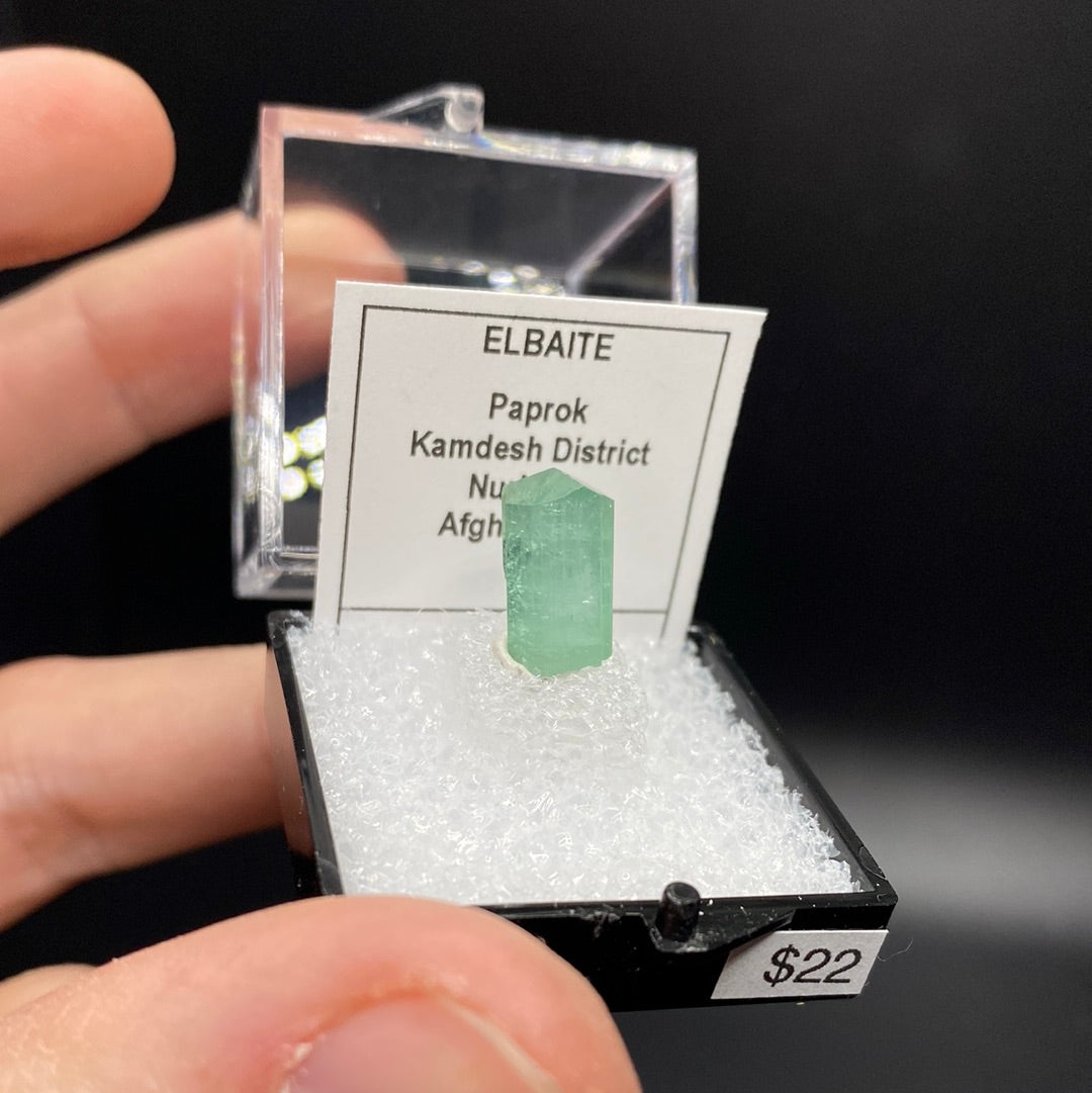 Elbaite Tourmaline Thumbnail Specimen - Afghanistan