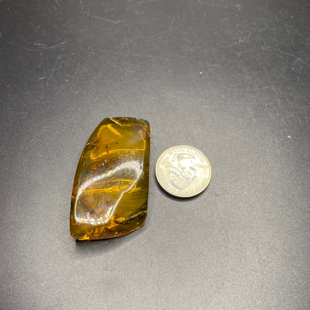 Amber with Insects - Mexico