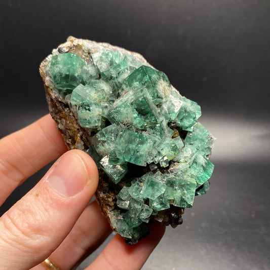 Fluorite - Hidden Forest Pocket - United Kingdom