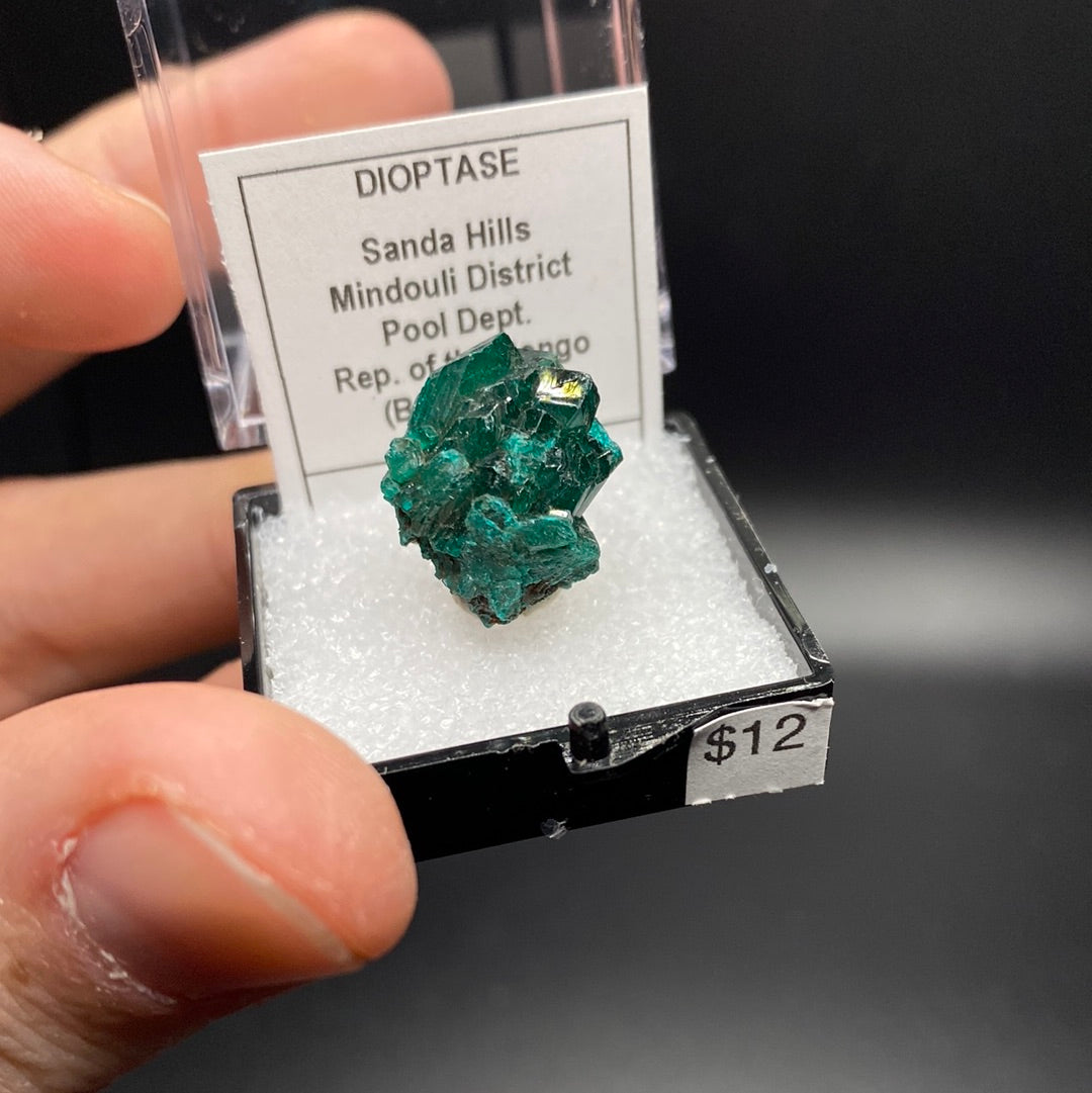 Dioptase Thumbnail Specimen - Rep of Congo