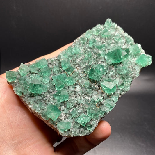 Fluorite - Hidden Forest Pocket - United Kingdom
