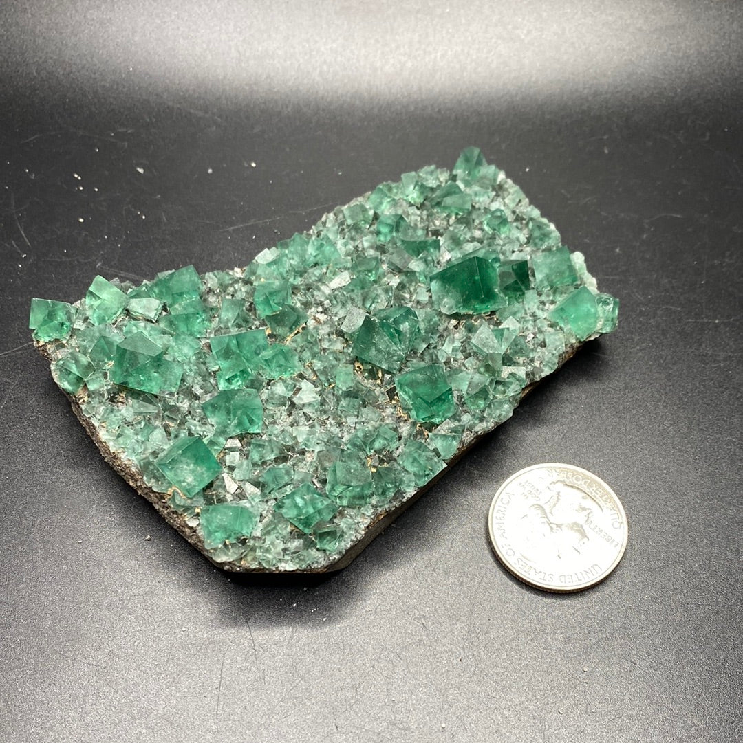 Fluorite - Hidden Forest Pocket - United Kingdom