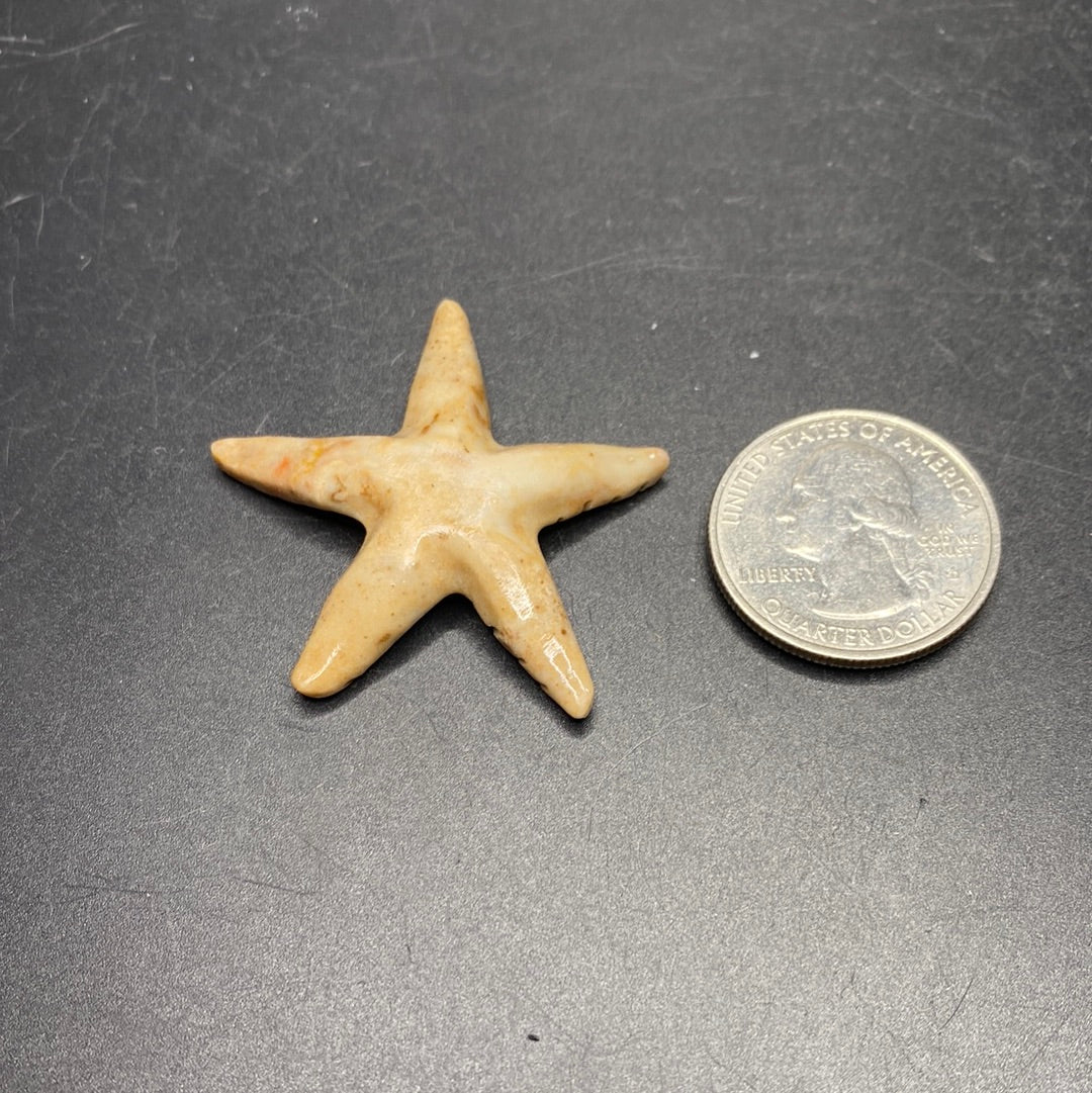 Soapstone Starfish Carving