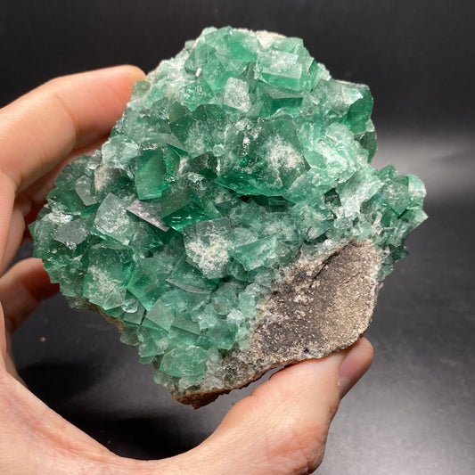 Fluorite - Hidden Forest Pocket - United Kingdom