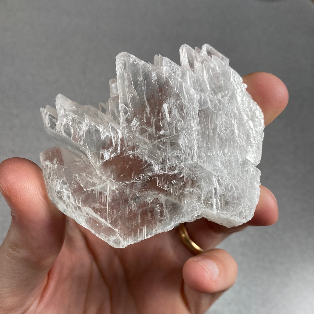 Fishtail Selenite - Mexico