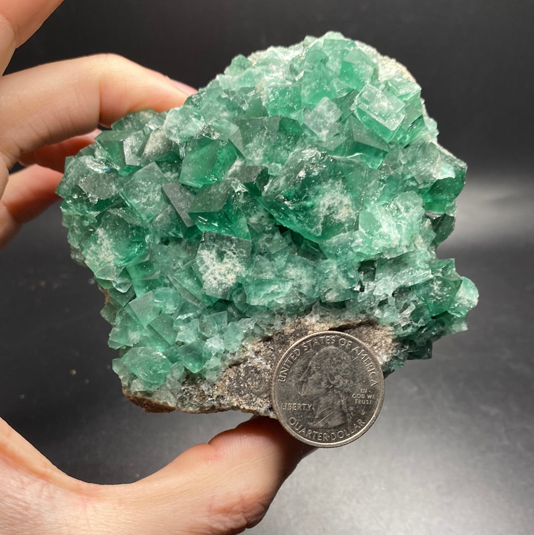 Fluorite - Hidden Forest Pocket - United Kingdom