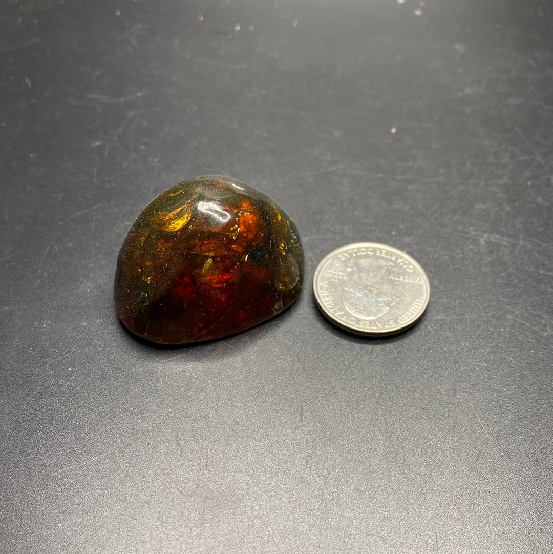 Amber with Insects - Mexico
