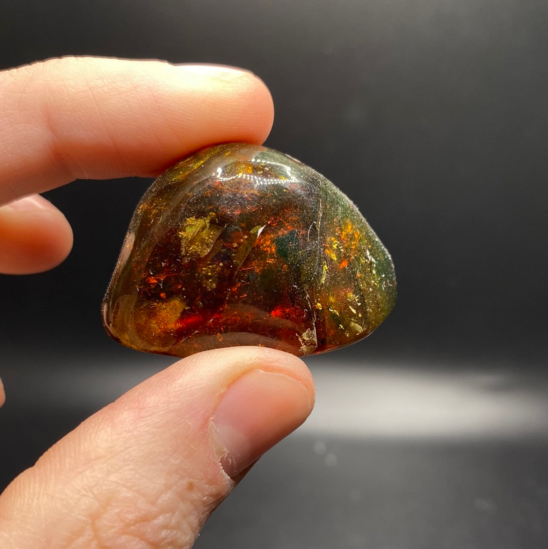 Amber with Insects - Mexico