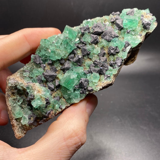 Fluorite - Hidden Forest Pocket - United Kingdom