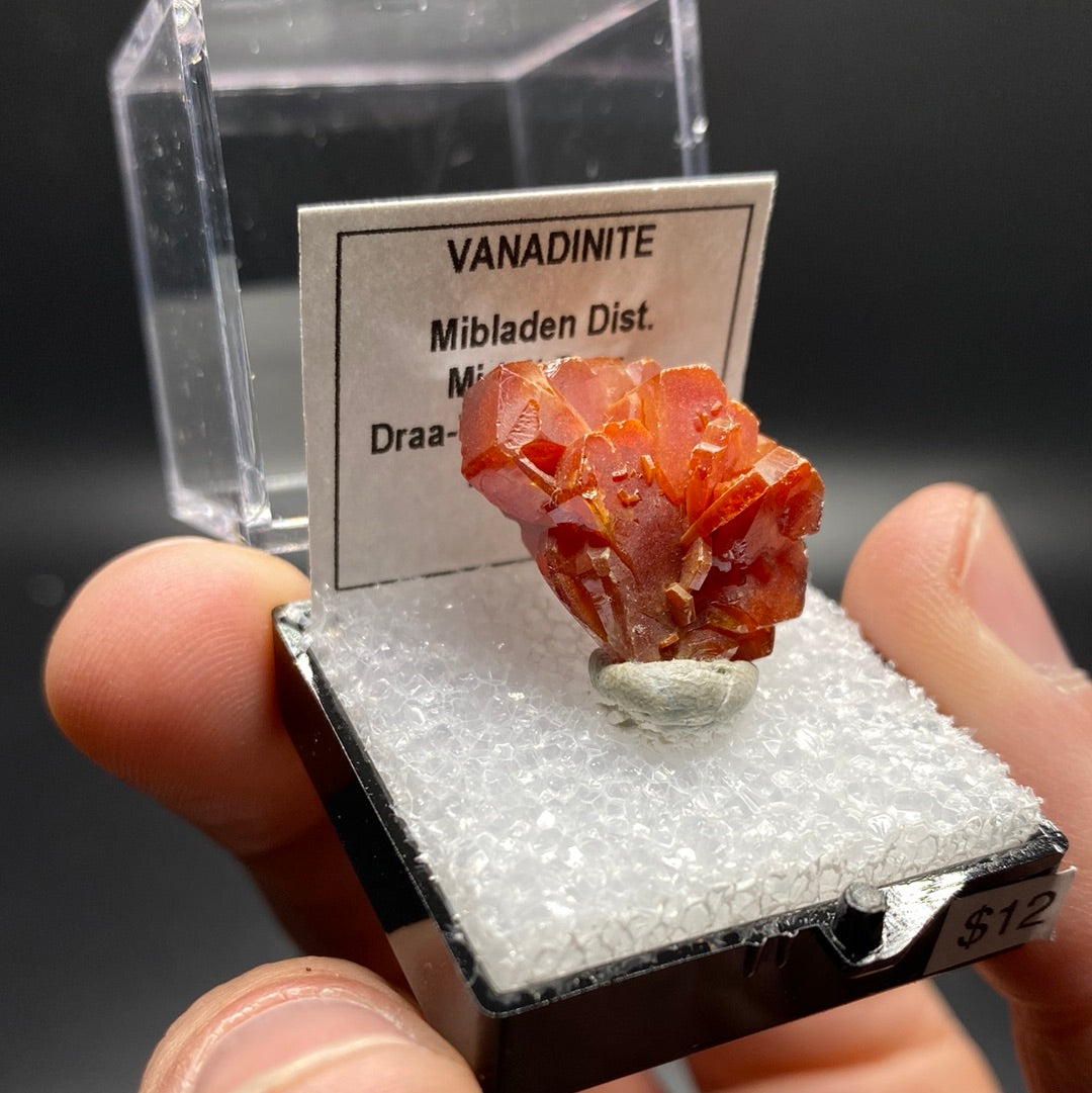 Vanadinite Thumbnail Specimen - Morocco - B