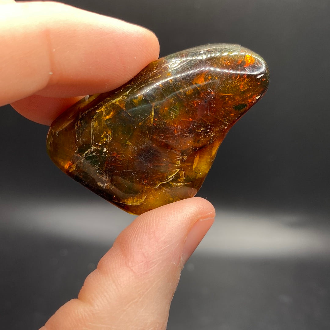 Amber with Insects - Mexico
