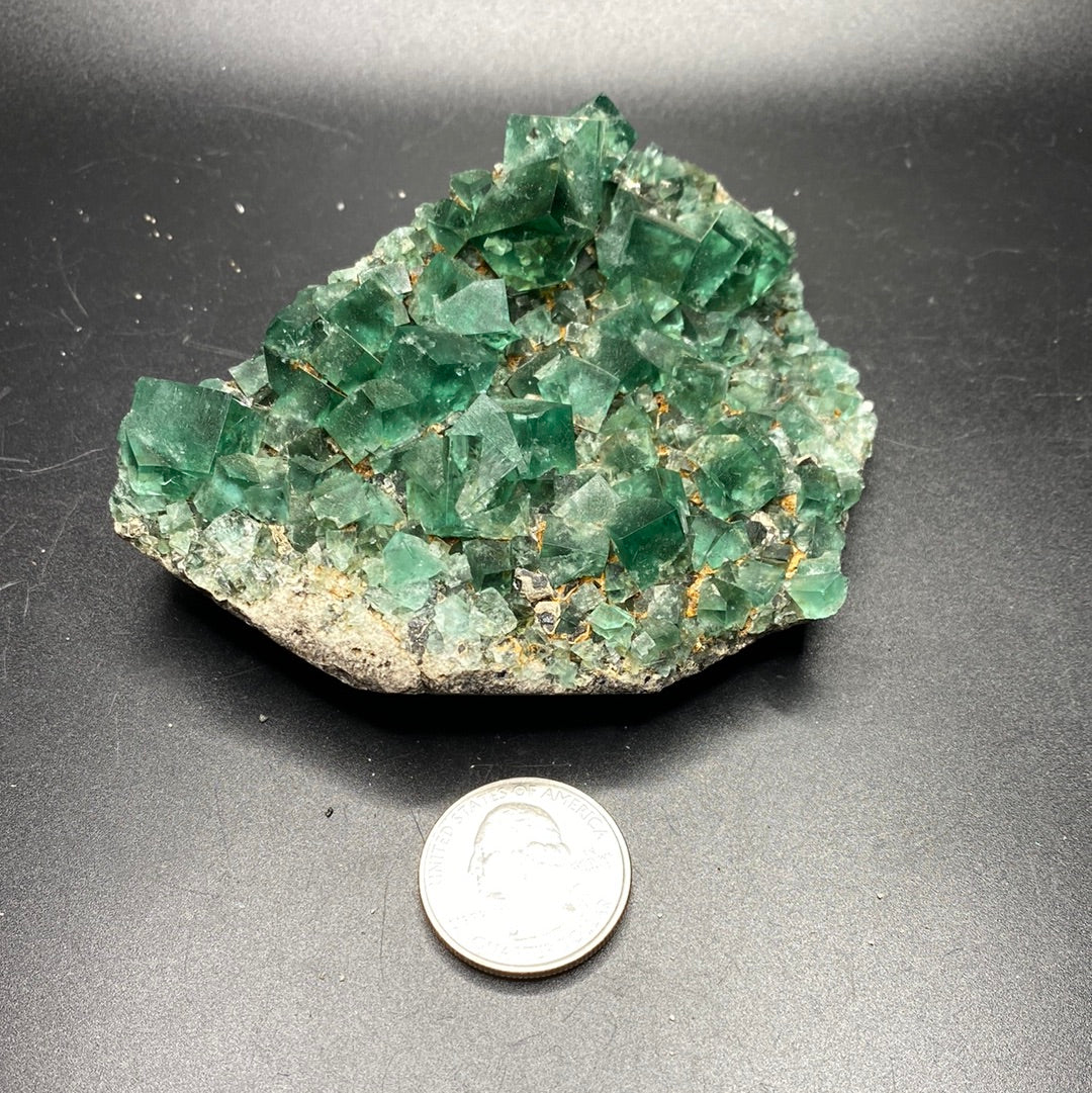 Fluorite - Hidden Forest Pocket - United Kingdom
