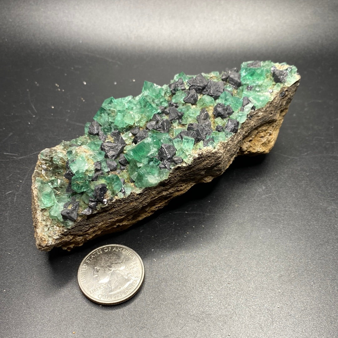 Fluorite - Hidden Forest Pocket - United Kingdom