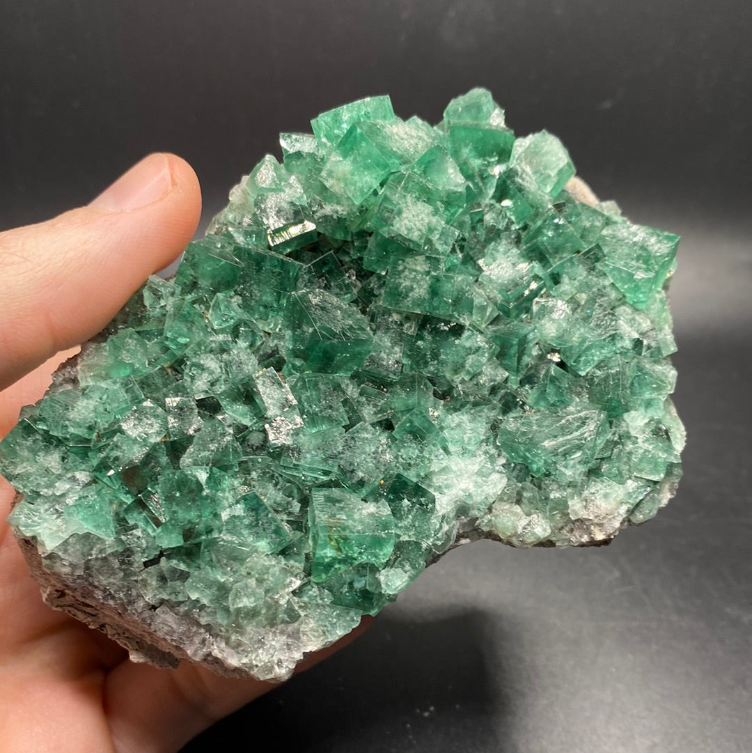 Fluorite - Hidden Forest Pocket - United Kingdom