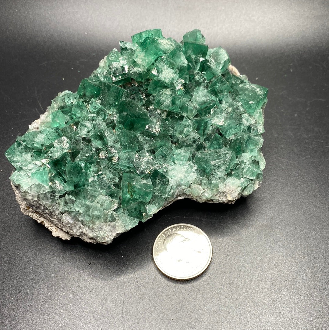Fluorite - Hidden Forest Pocket - United Kingdom