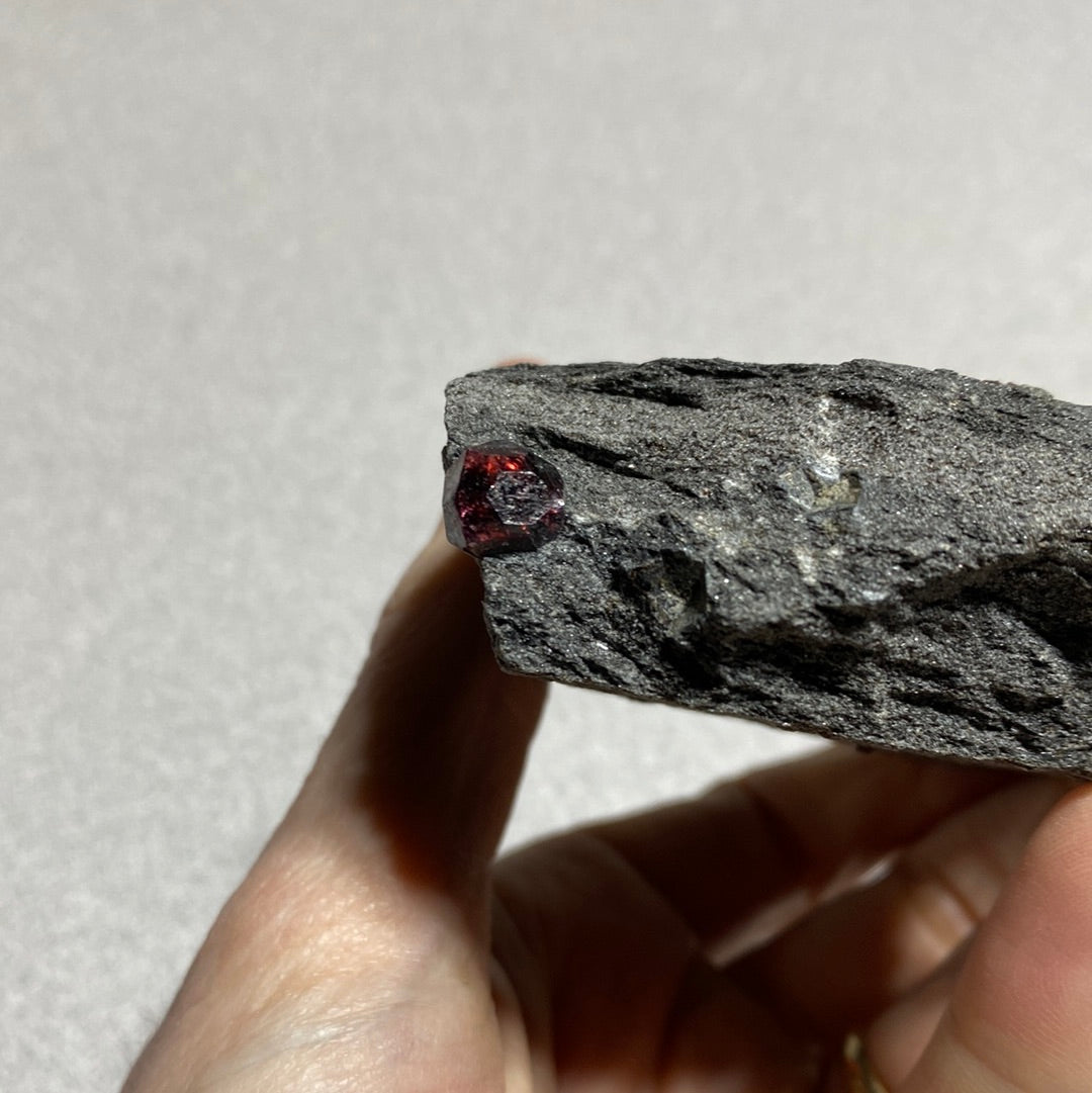 Garnet in Schist - Alaska