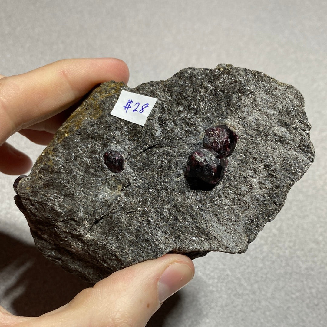 Garnet in Schist - Alaska