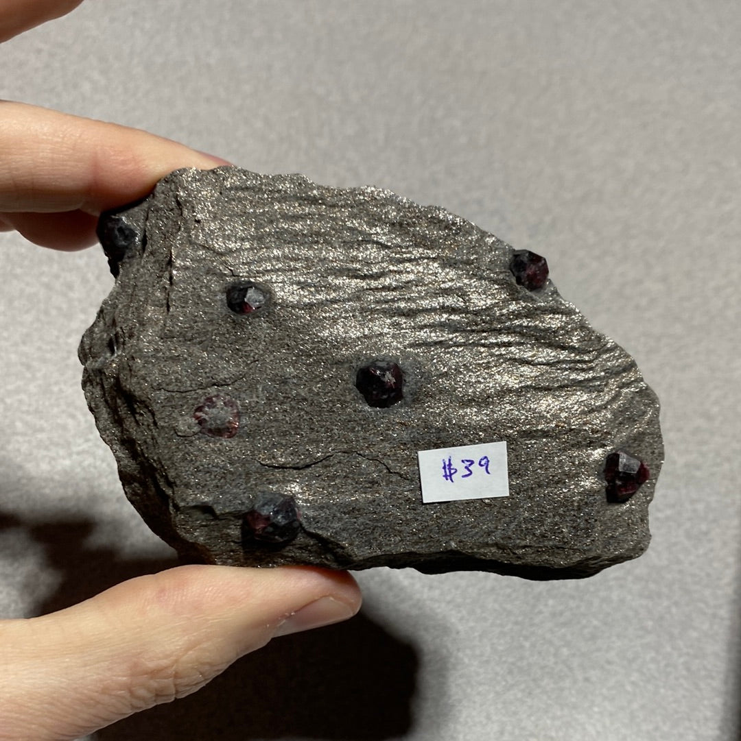 Garnet in Schist - Alaska