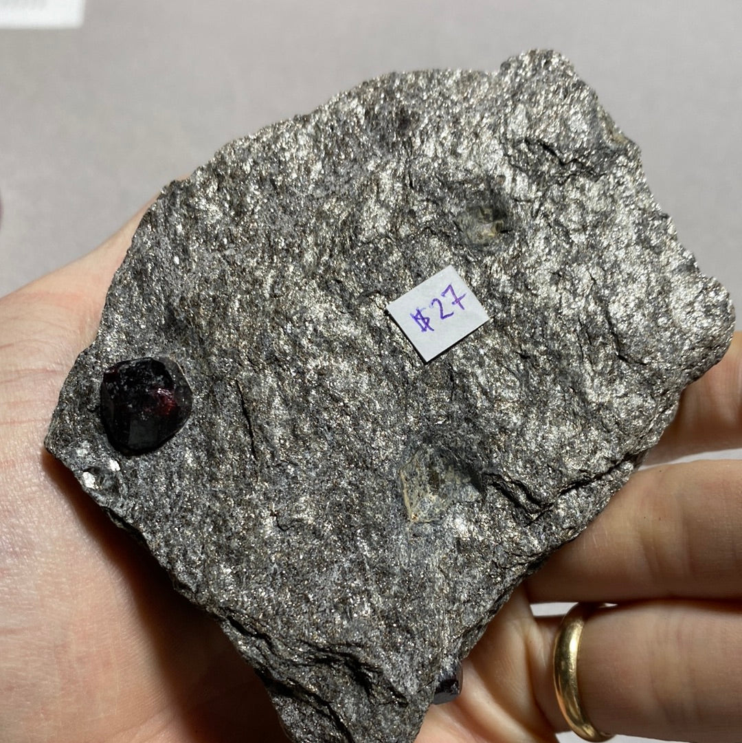 Garnet in Schist - Alaska