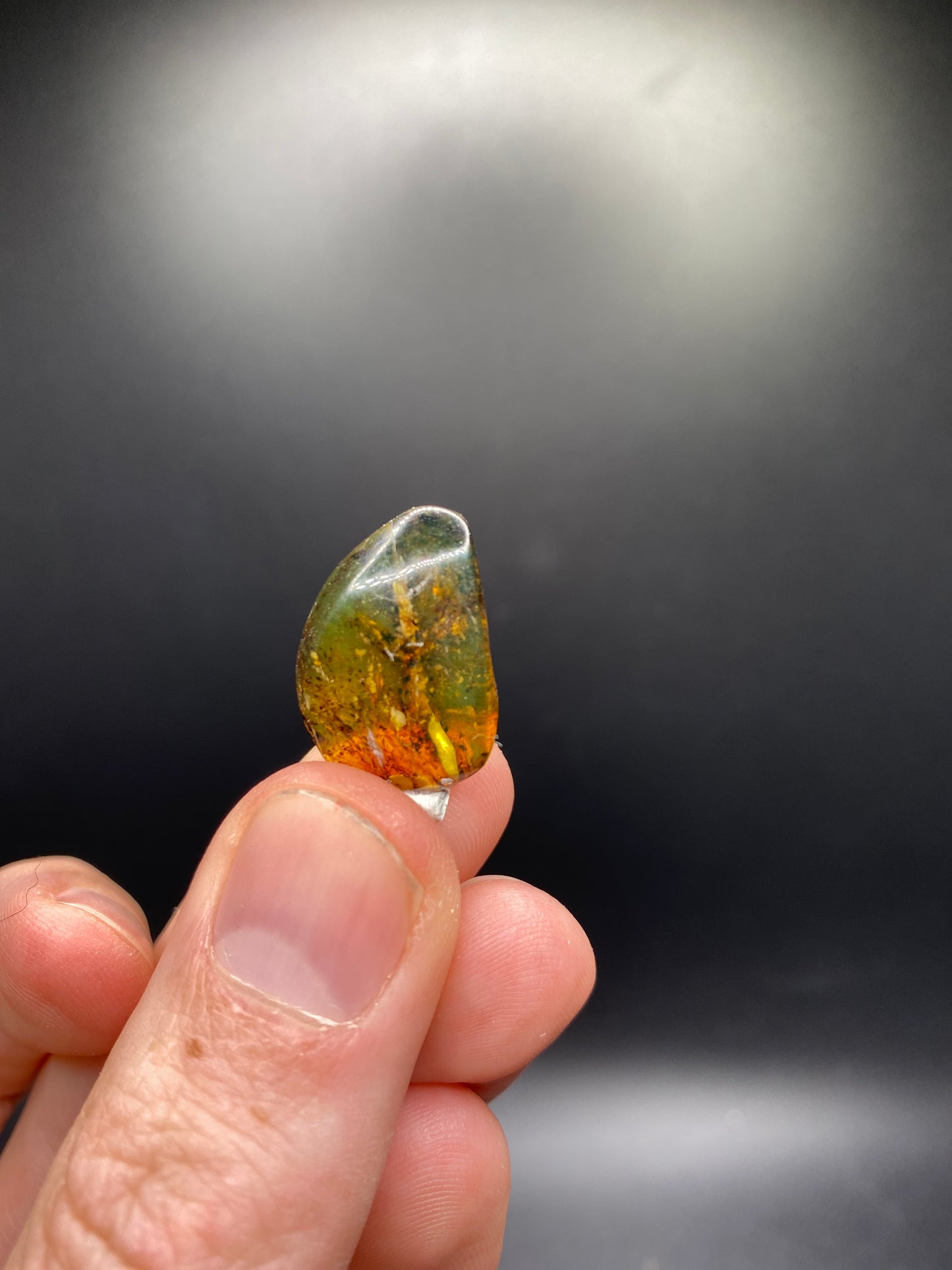 Polished Amber - Mexico