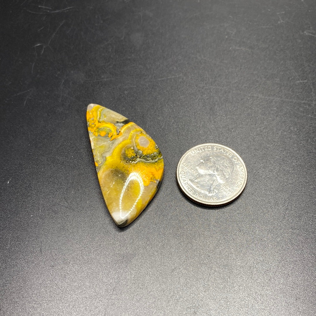 Bumble Bee Jasper Cabochon - Large