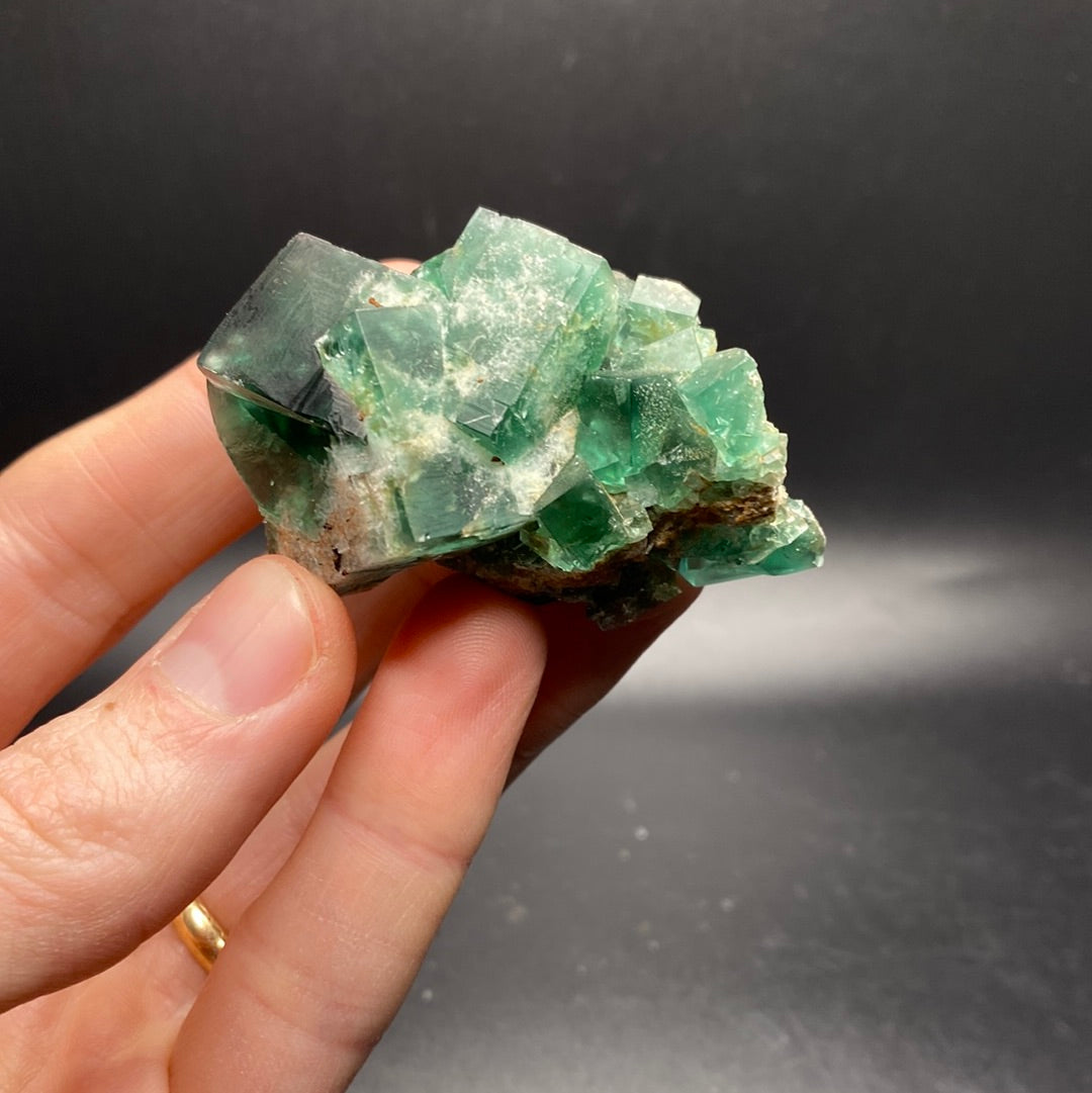 Fluorite - Hidden Forest Pocket - United Kingdom