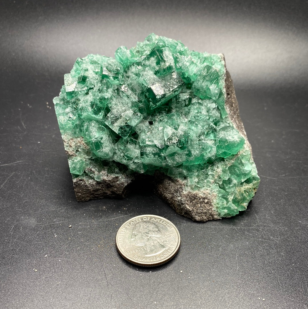 Fluorite - Hidden Forest Pocket - United Kingdom