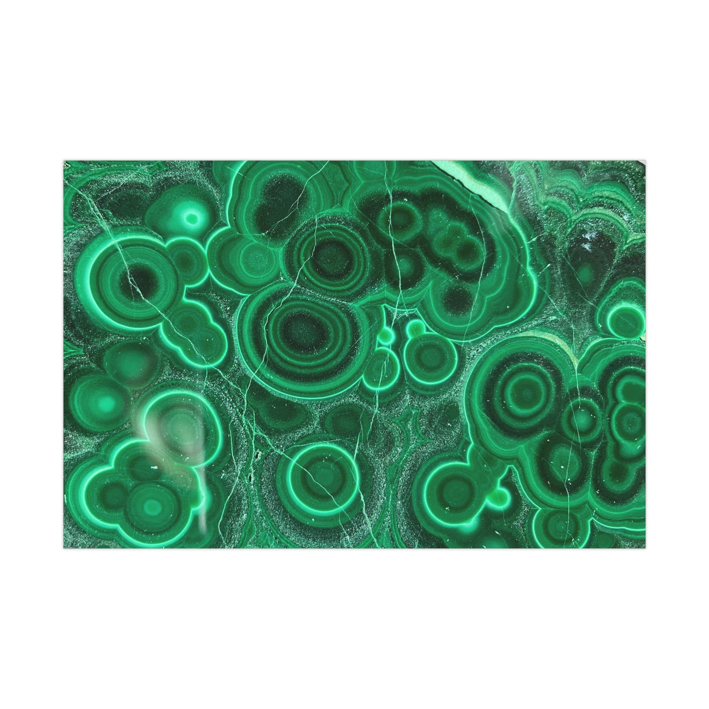 Gift Wrap Papers