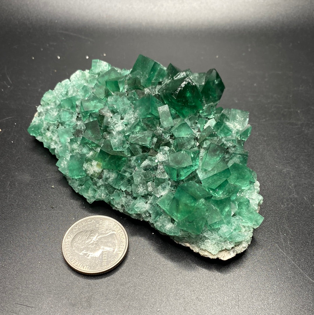 Fluorite - Hidden Forest Pocket - United Kingdom