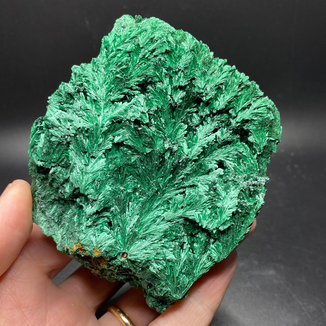 Malachite - High Grade Fibrous - Congo