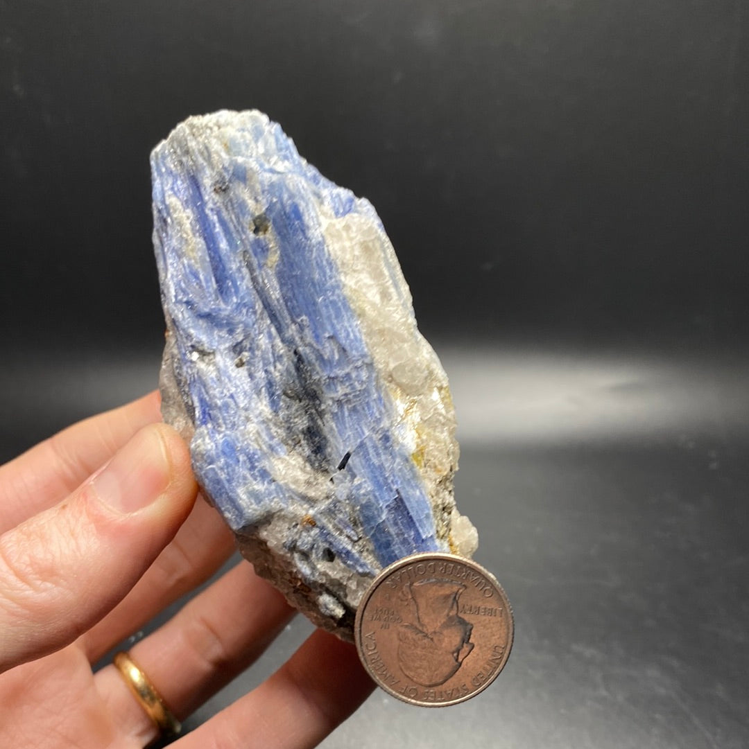 Blue Kyanite - Rough - Brazil