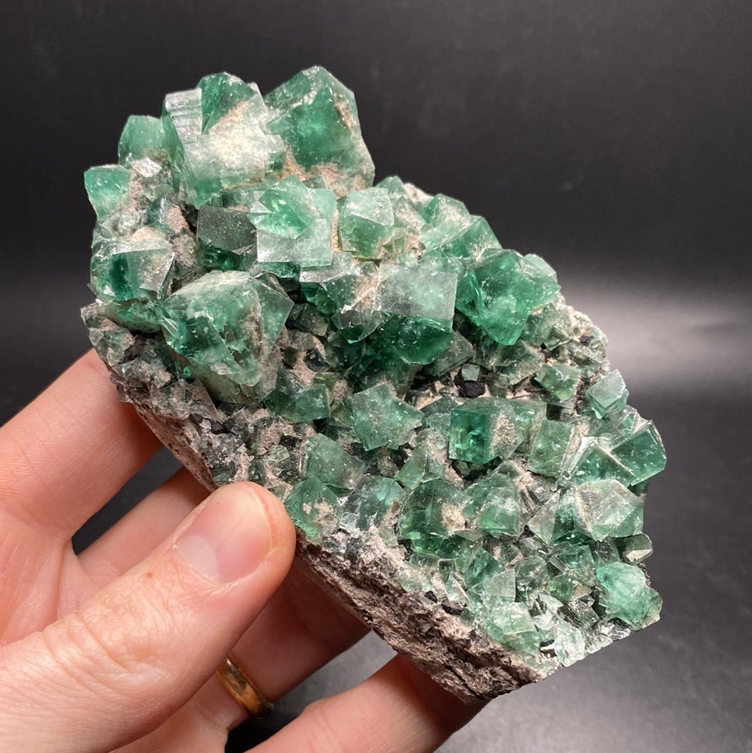 Fluorite - Hidden Forest Pocket - United Kingdom