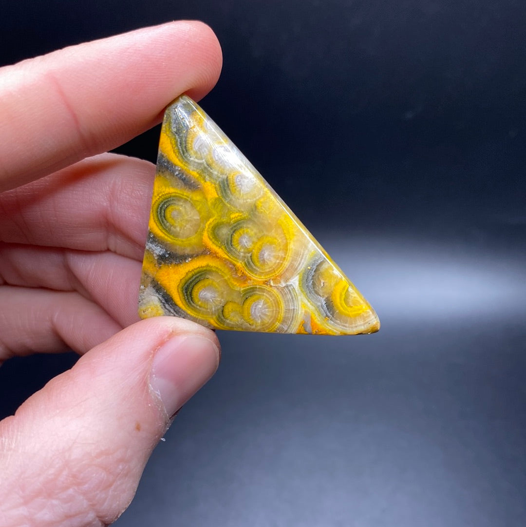 Bumble Bee Jasper Cabochon - Large