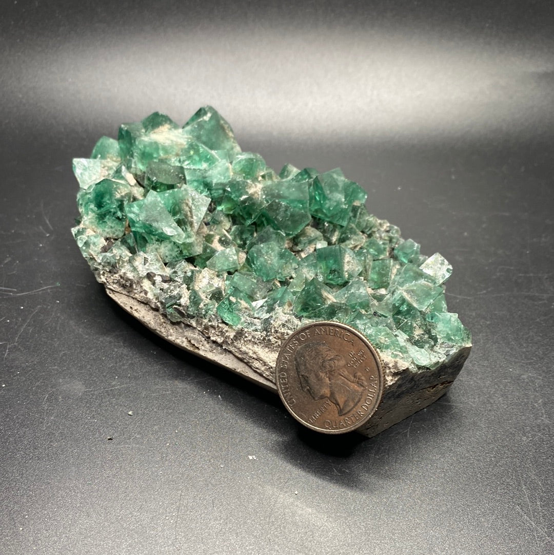 Fluorite - Hidden Forest Pocket - United Kingdom