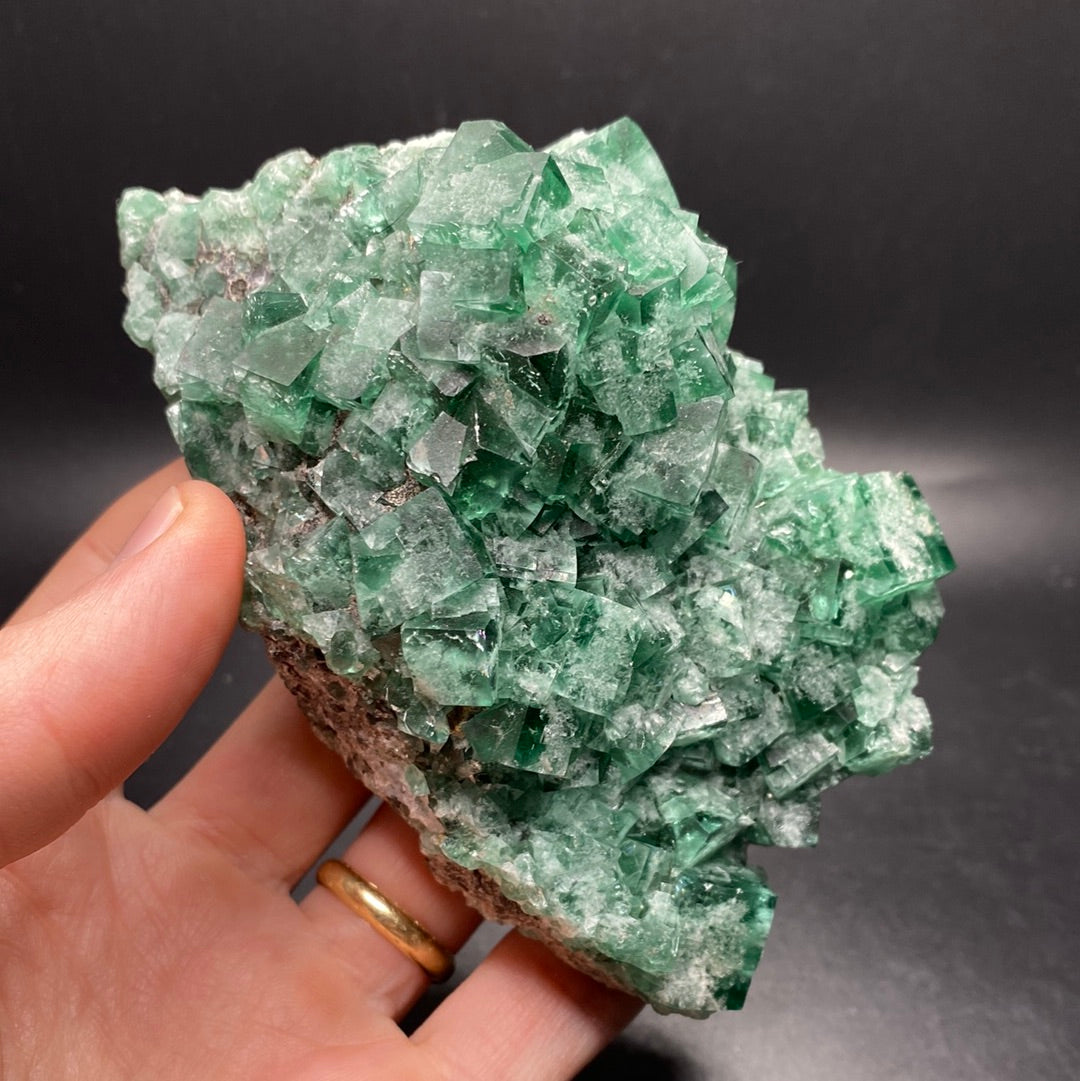 Fluorite - Hidden Forest Pocket - United Kingdom