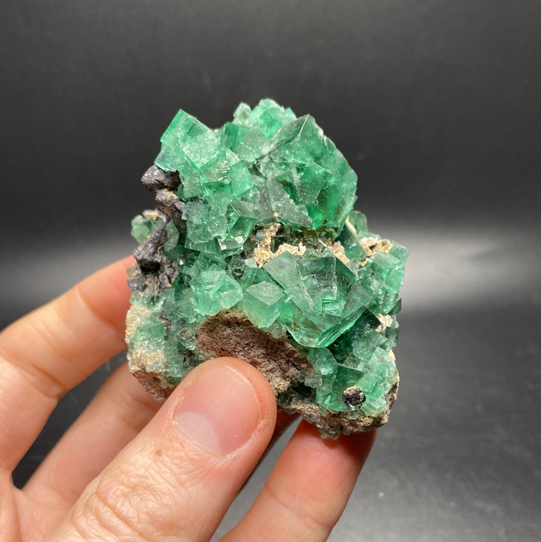 Fluorite - Hidden Forest Pocket - United Kingdom