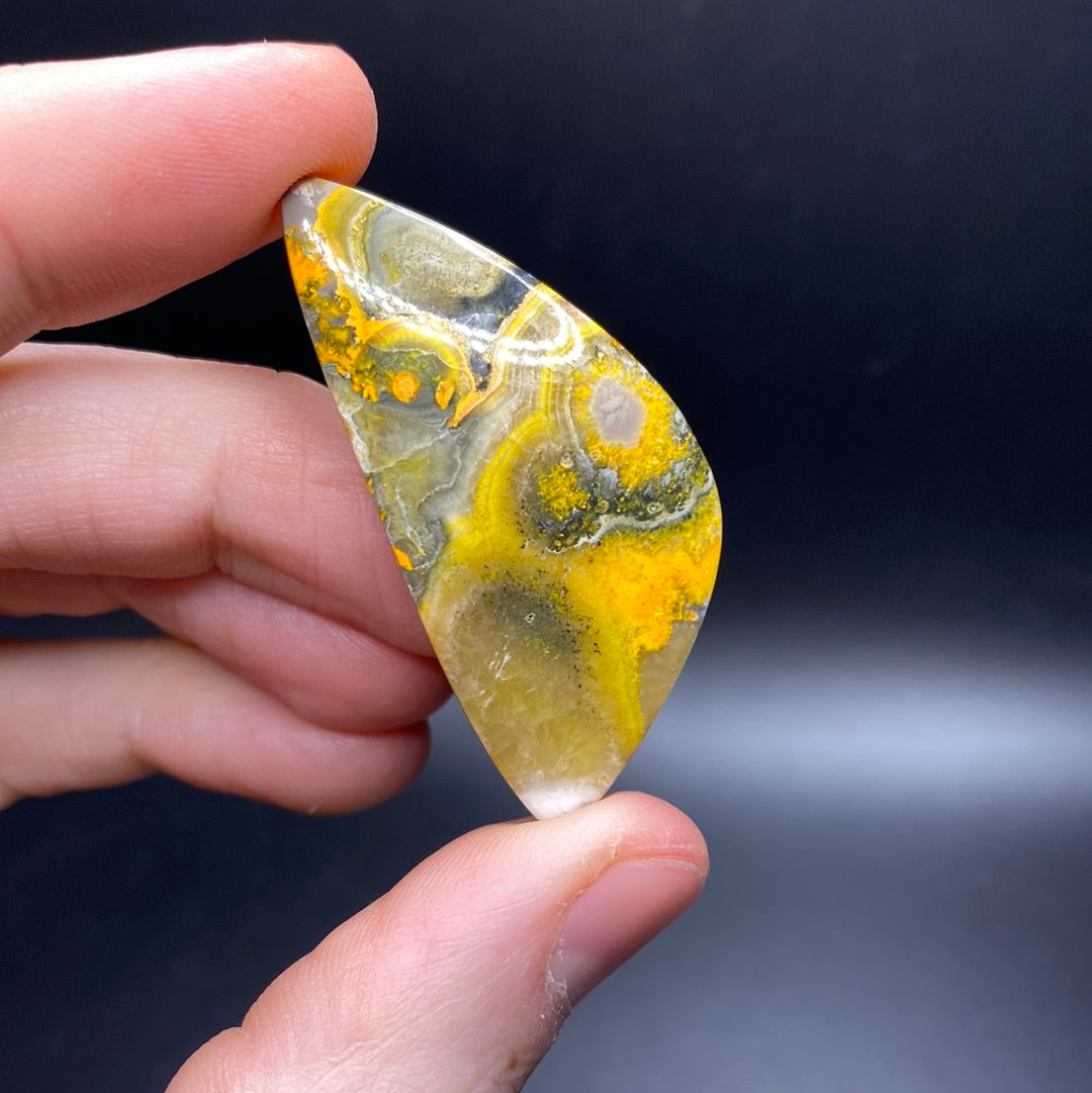 Bumble Bee Jasper Cabochon - Large