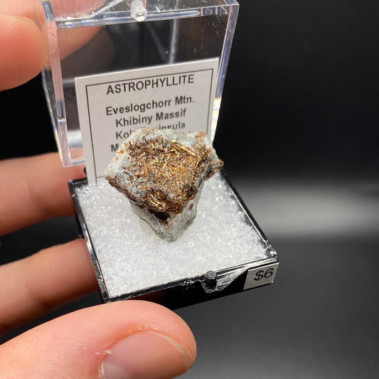 Astrophyllite Thumbnail Specimen - Russia
