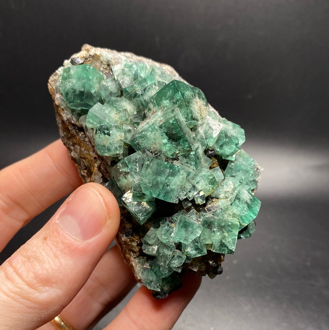 Fluorite - Hidden Forest Pocket - United Kingdom