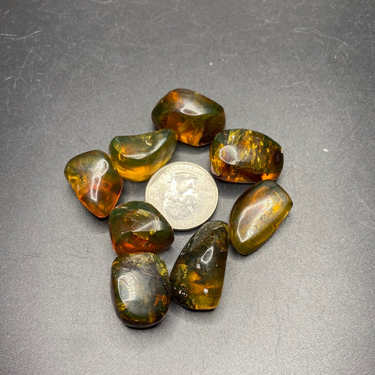 Amber with Insects - Small - Mexico