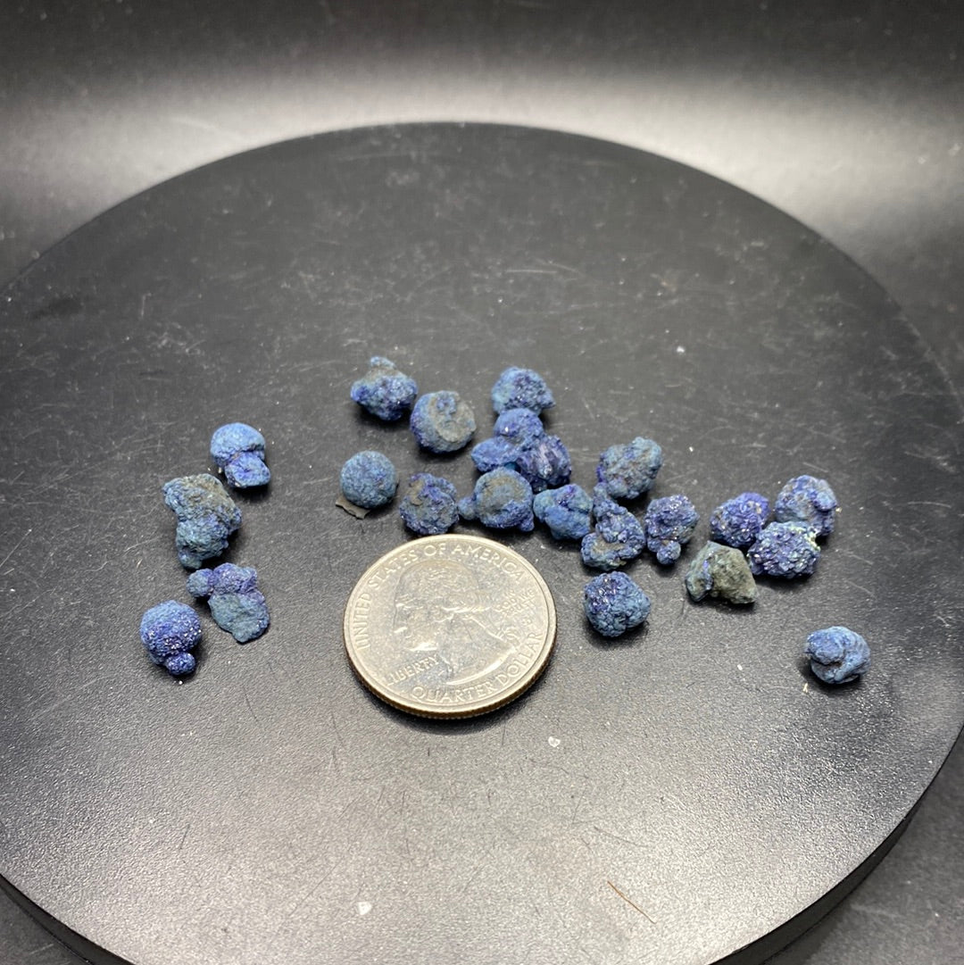 Azurite Blueberries