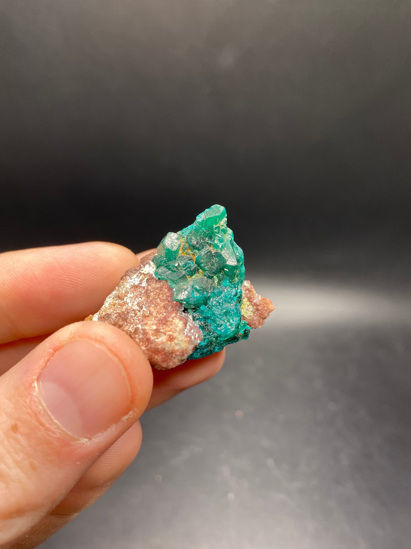 Dioptase - Congo - 21