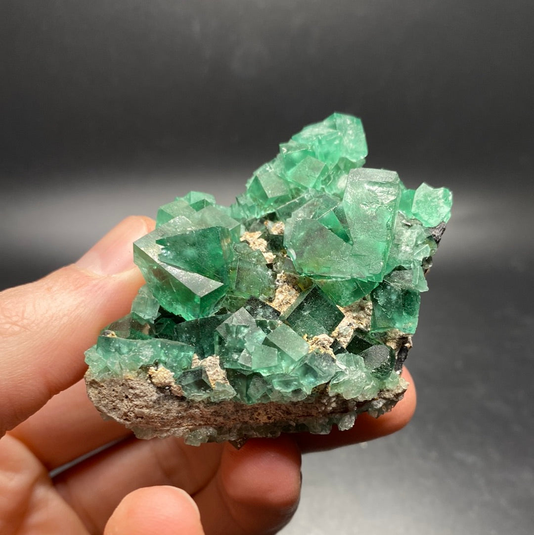 Fluorite - Hidden Forest Pocket - United Kingdom