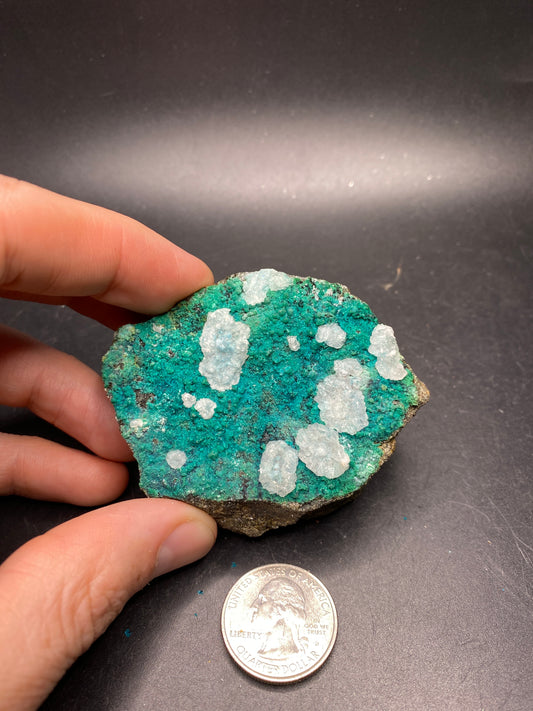 Chrysocolla Specimen - Tentadora Mine - Peru