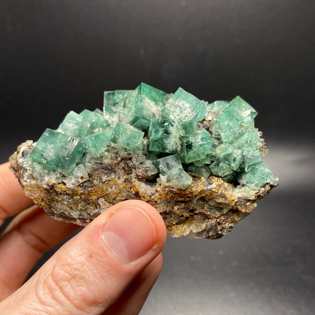 Fluorite - Hidden Forest Pocket - United Kingdom