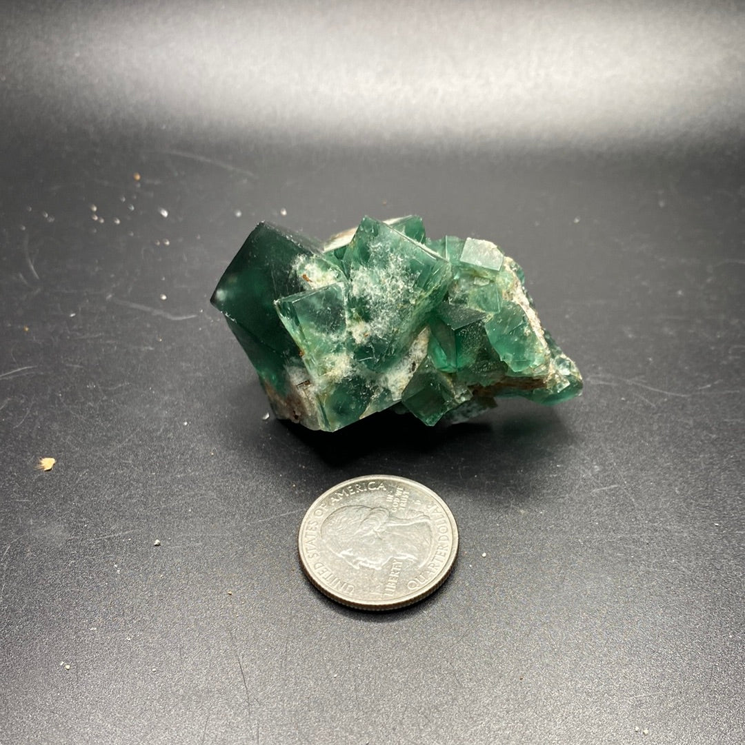 Fluorite - Hidden Forest Pocket - United Kingdom